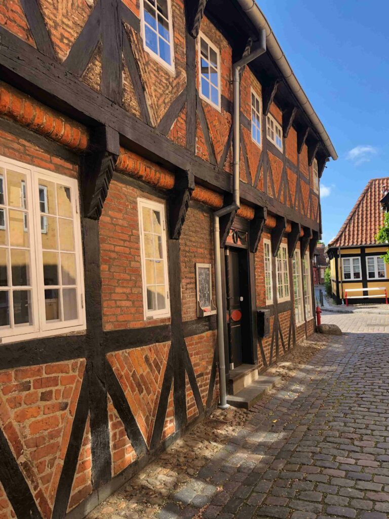 Ribe