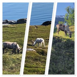 IMG_0494