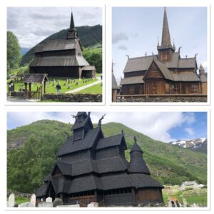 IMG_0503