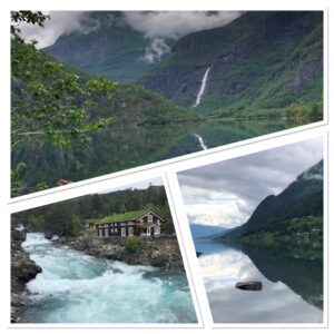 IMG_0504 1