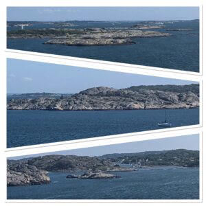 IMG_0545