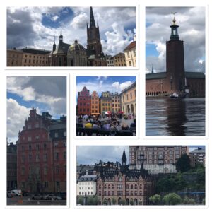 IMG_0684