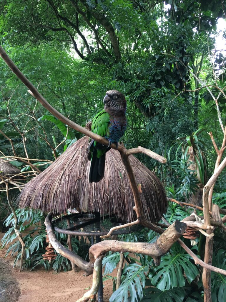 Iguaçu