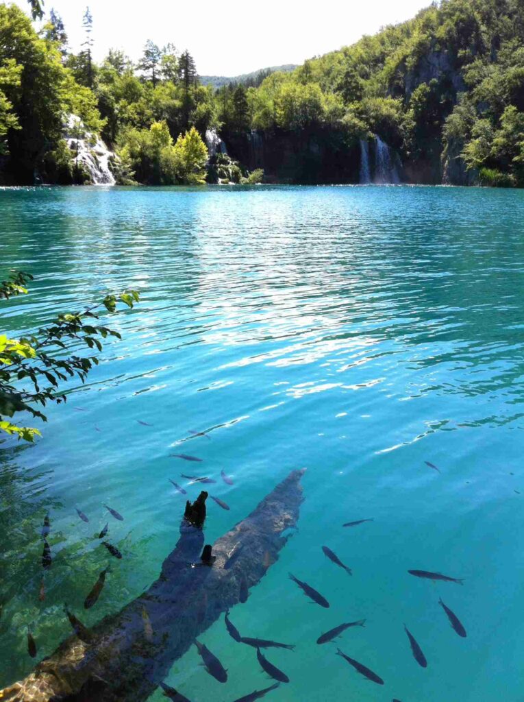 Lacs de Plitvice