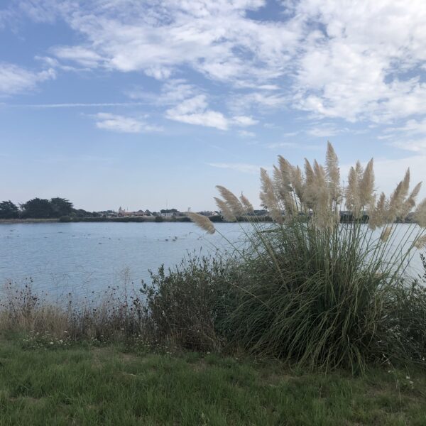 Ile de Noirmoutier
