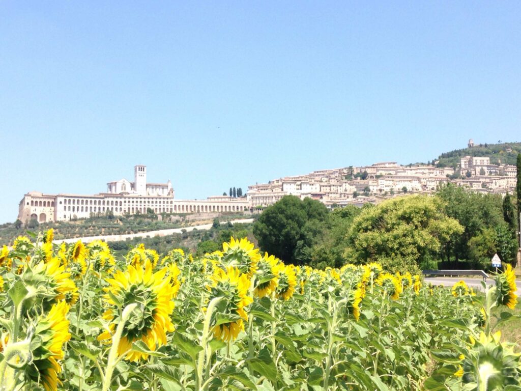 Assise