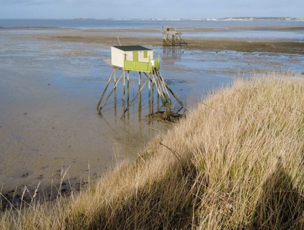 Ile Madame