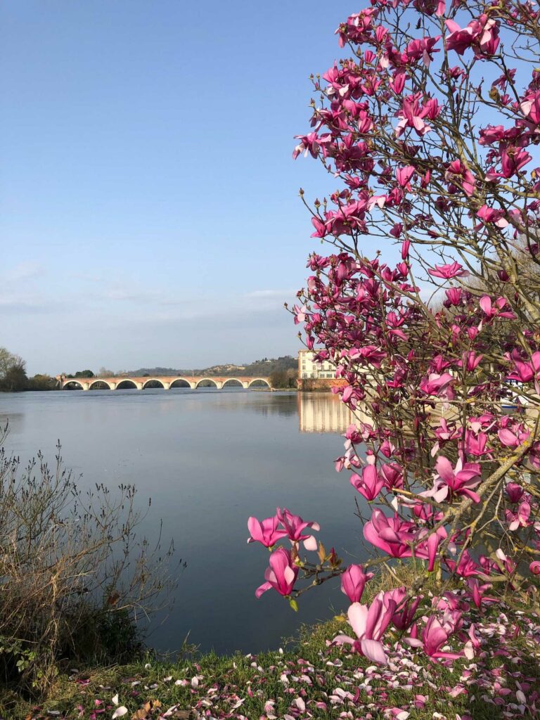 Moissac