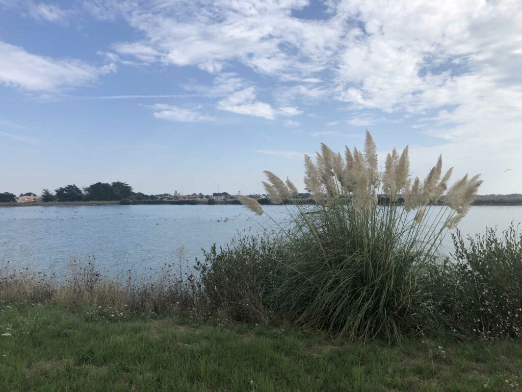Ile de Noirmoutier