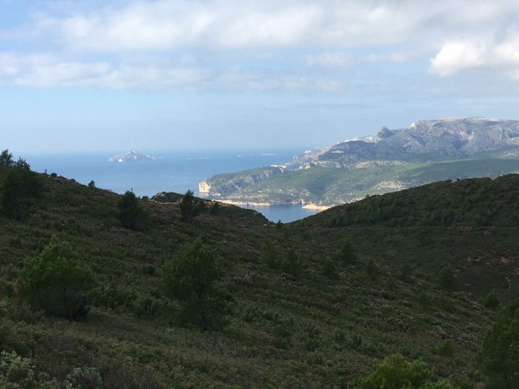 Cassis
