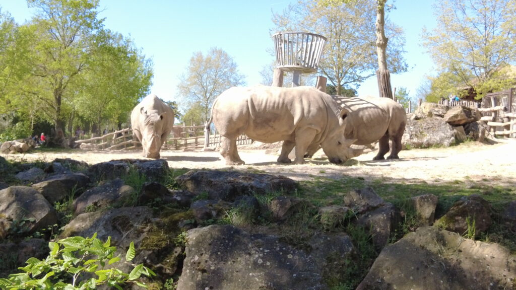 Beauval
