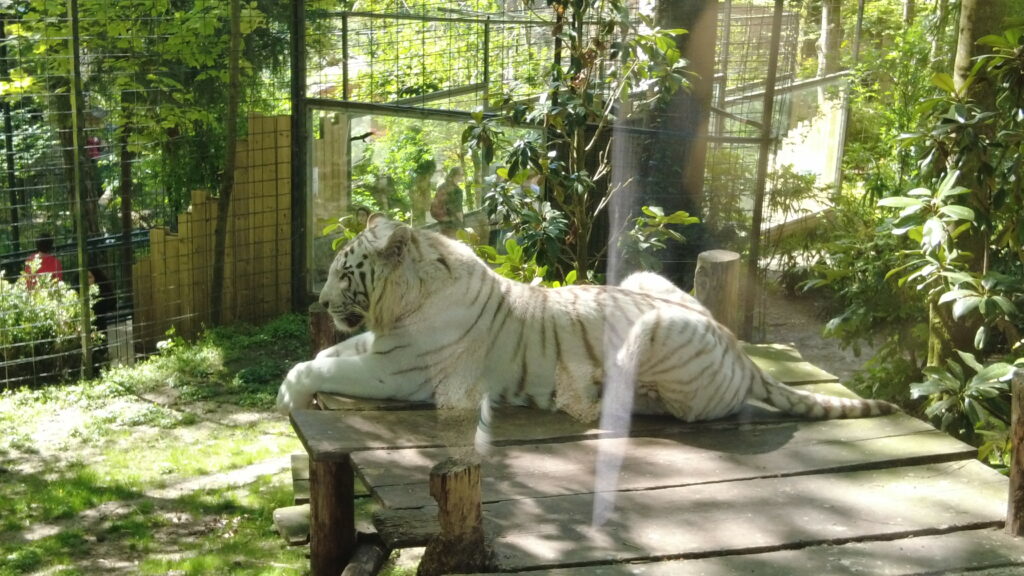 Beauval