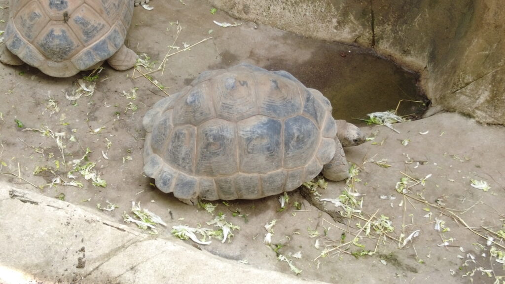 Beauval