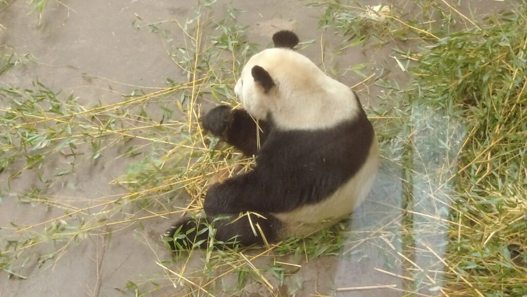 Beauval