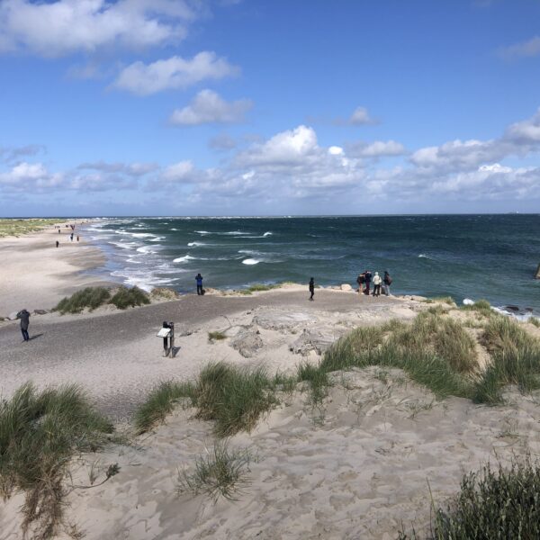Skagen