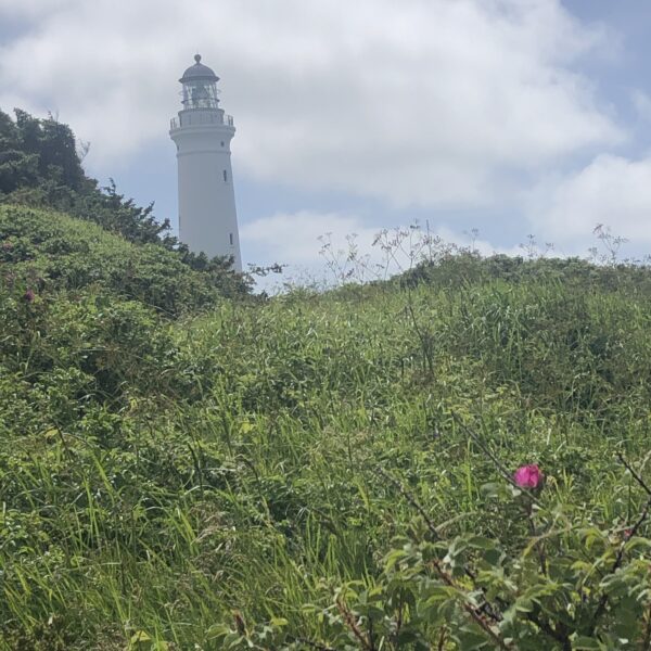 Hirtshals