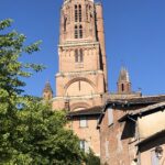 Albi_8