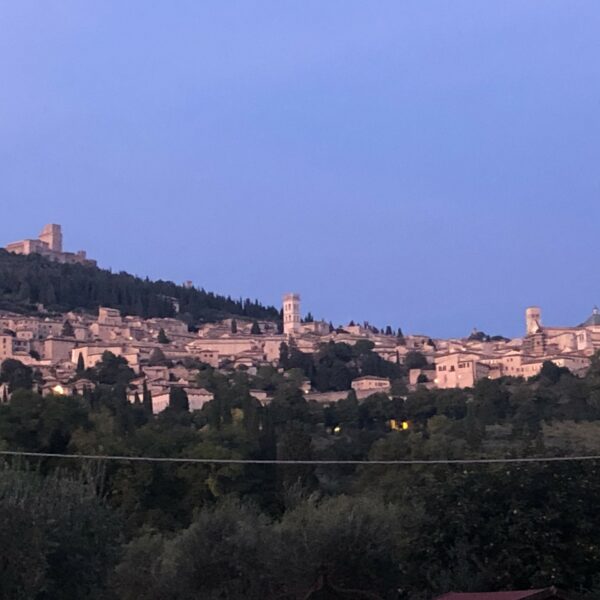 Assise