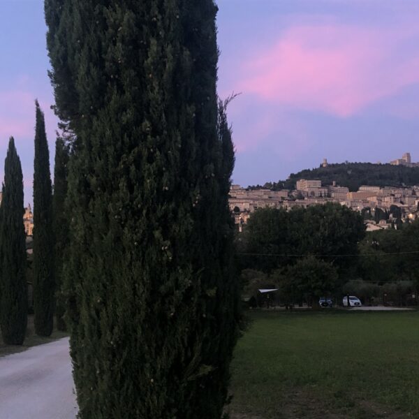 Assise