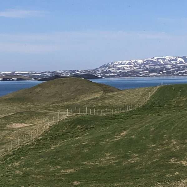 Skutustadagigar