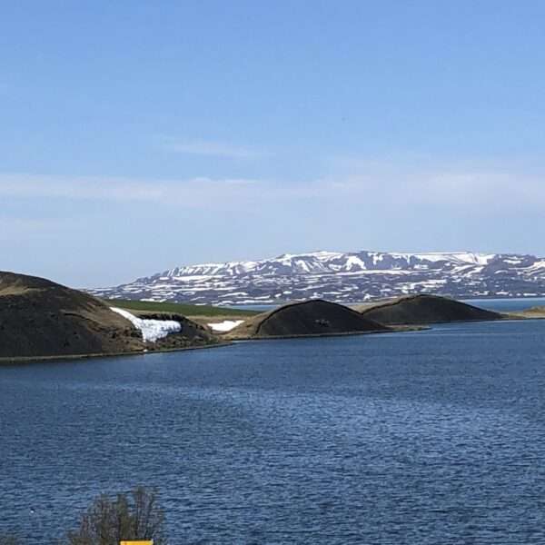 Skutustadagigar