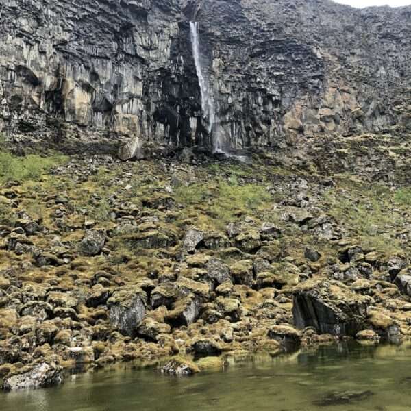 Asbyrgi canyon
