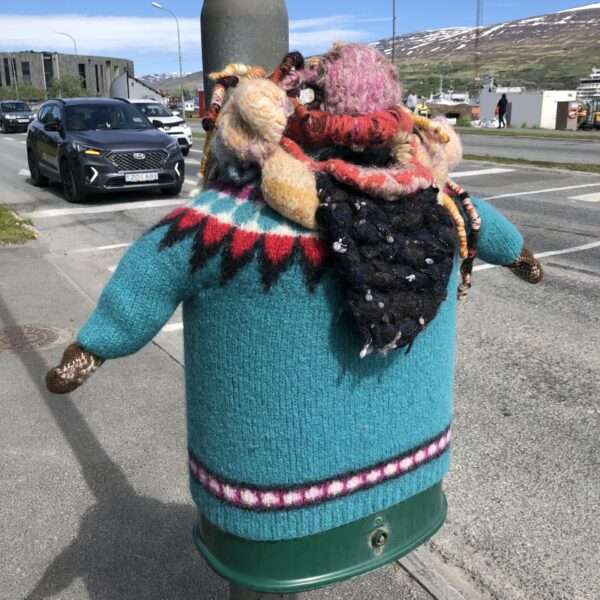 Akureyri : poubelle de ville