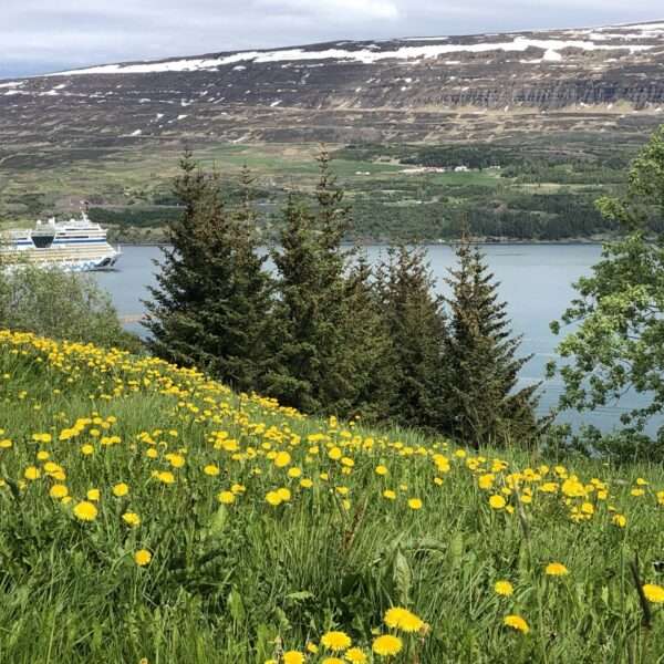 Akureyri
