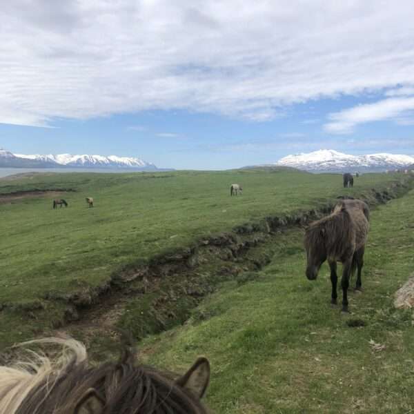 Islande du nord