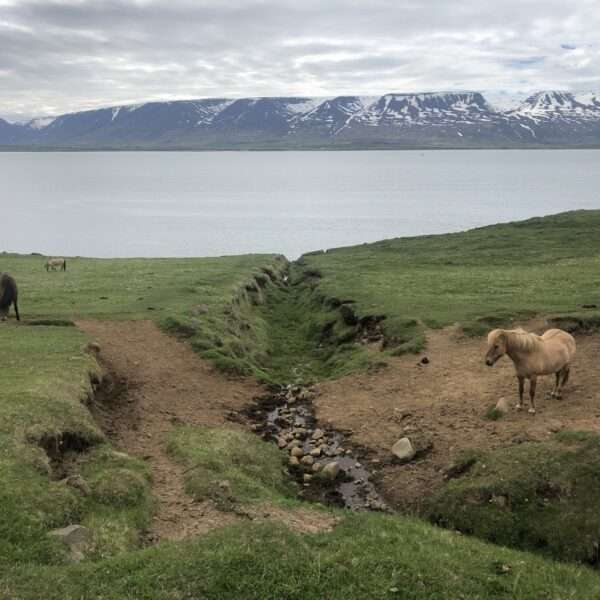Islande du nord