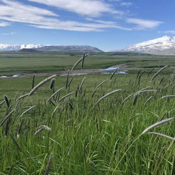 Islande du nord