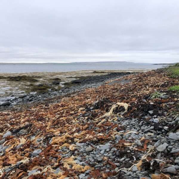 Islande de l'ouest
