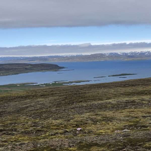 Islande de l'ouest