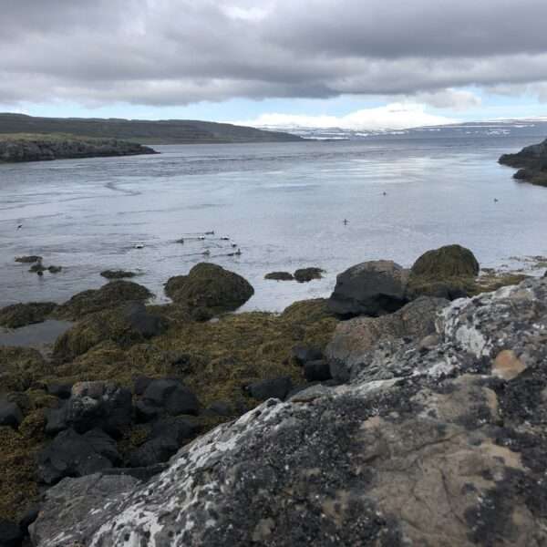 Islande de l'ouest
