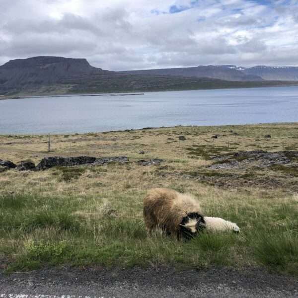 Islande de l'ouest