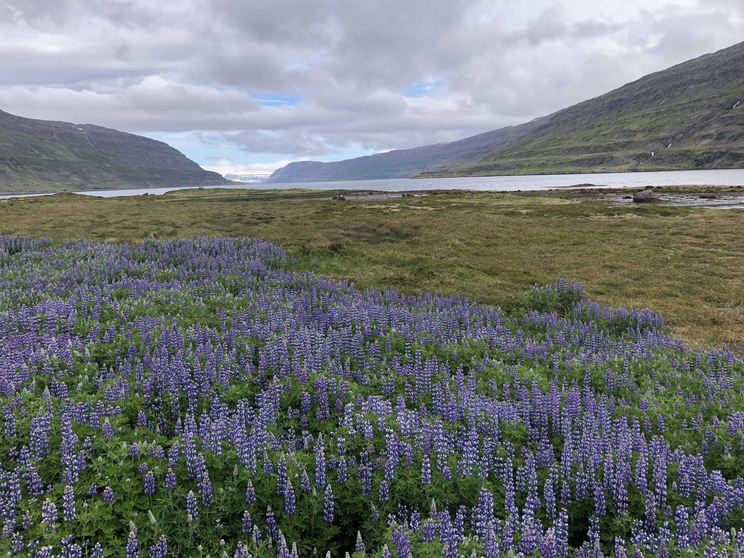 21 et 22 juin à Isafjordur