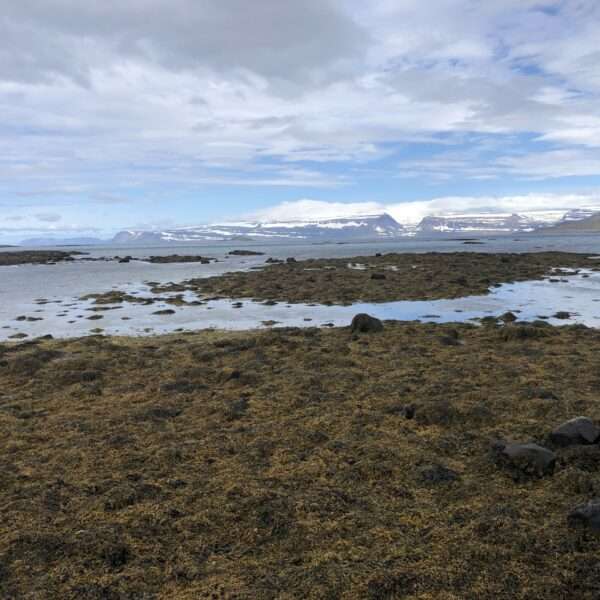 Islande de l'ouest