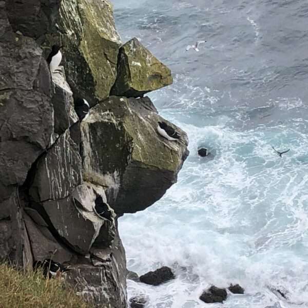 Latrabjarg