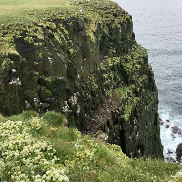 Latrabjarg