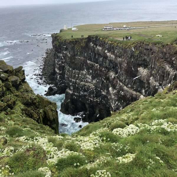 Latrabjarg