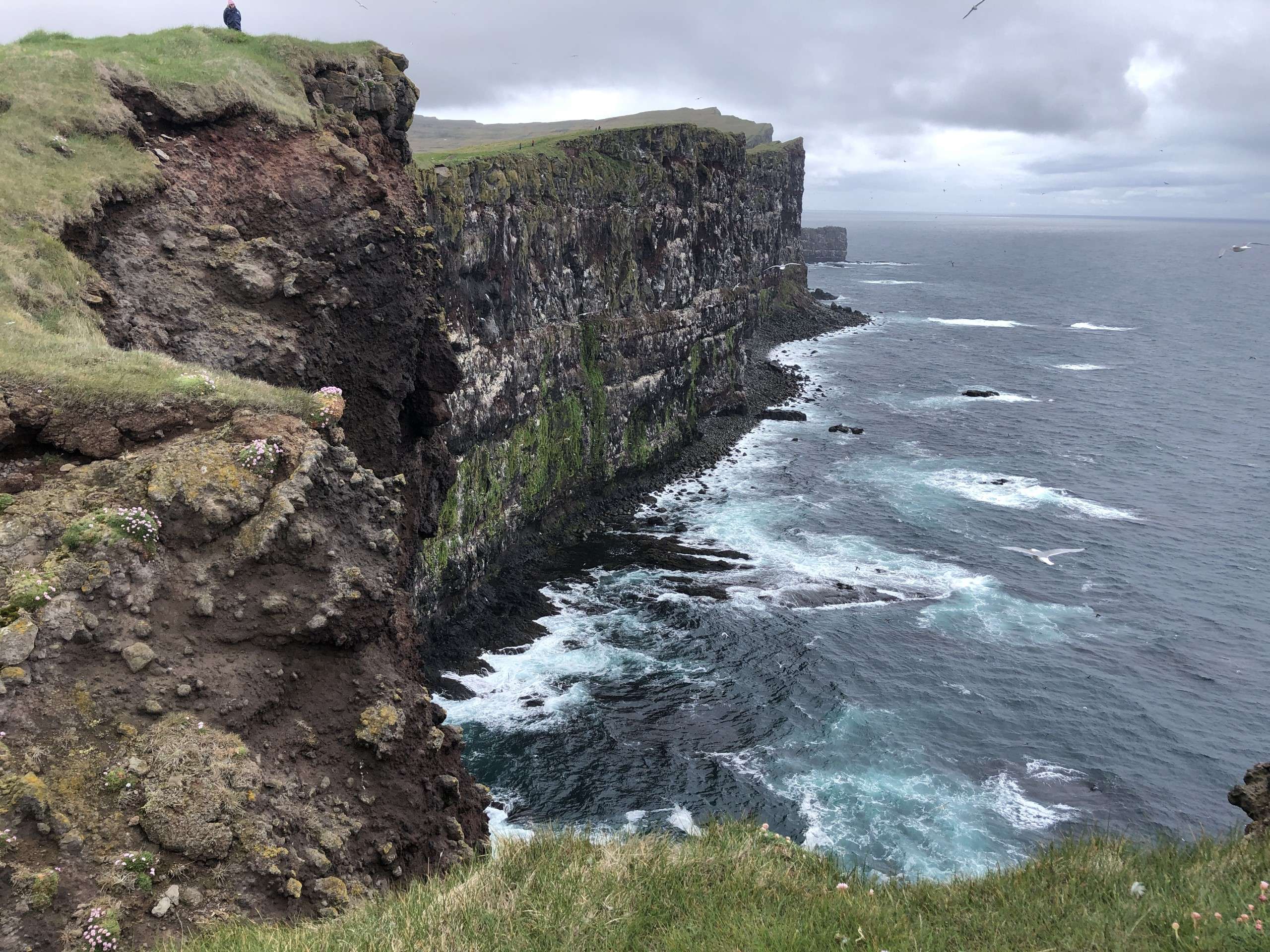 24 juin aux falaises de Latrabjarg