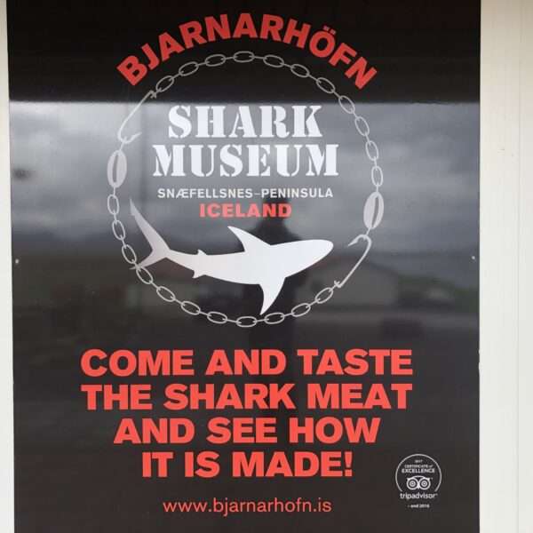 Musée du requin