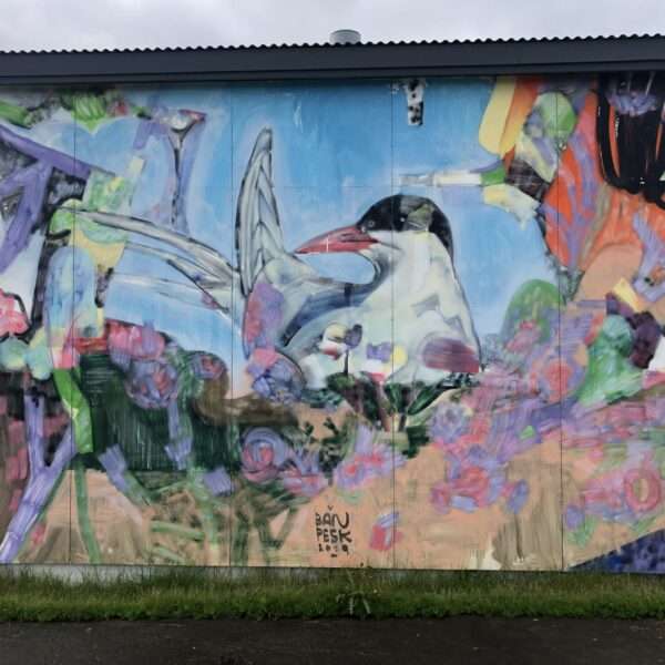 Street art à Hellissandur
