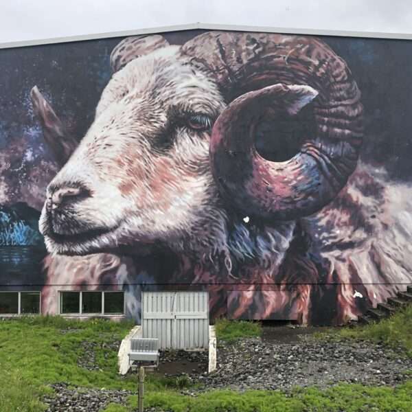 Street art à Hellissandur
