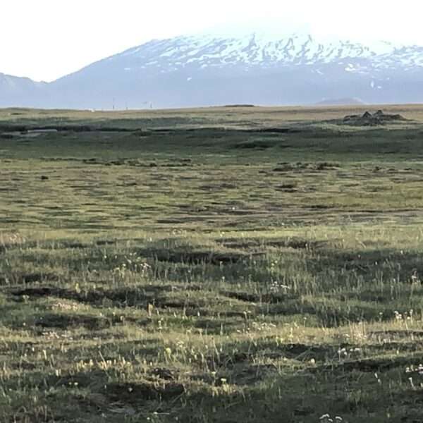 Glacier Snaefellsjokull