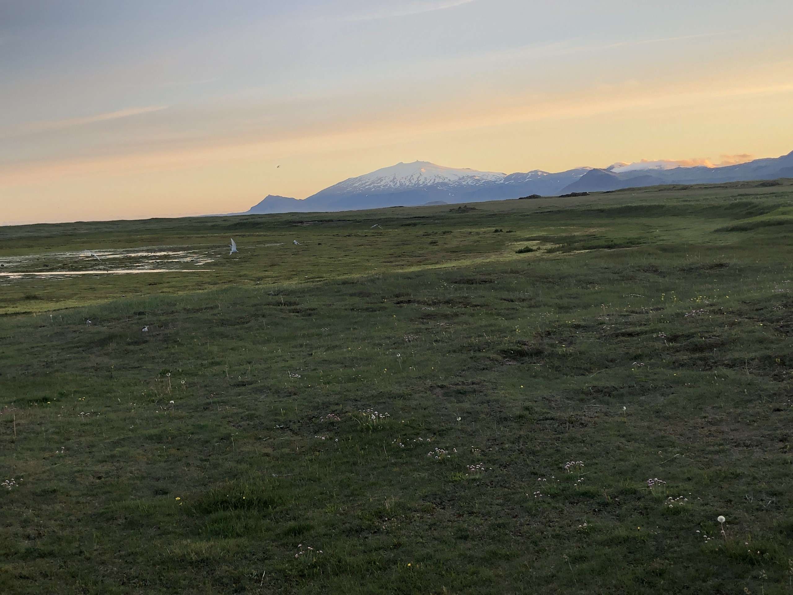 27 juin à Akranes