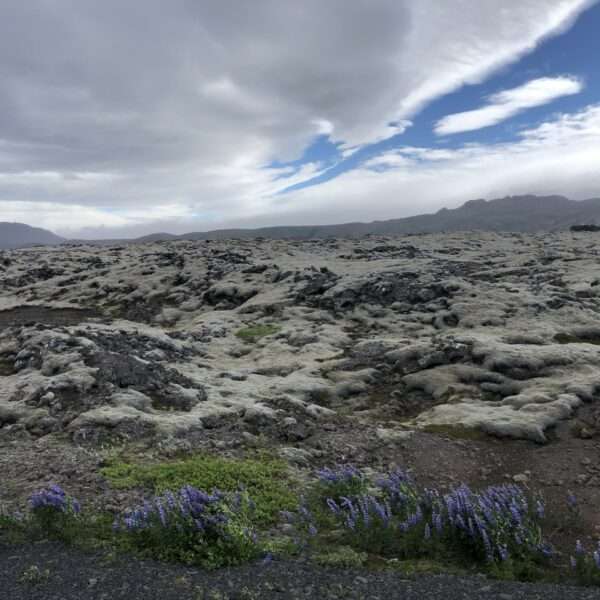 Près du lac Kleifarvatn