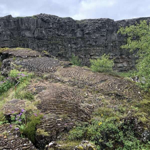 Parc Pingvellir