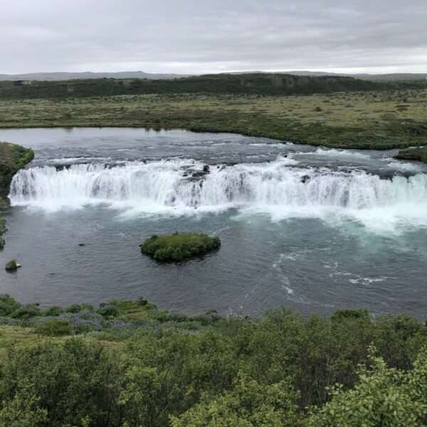 Cascade Faxi