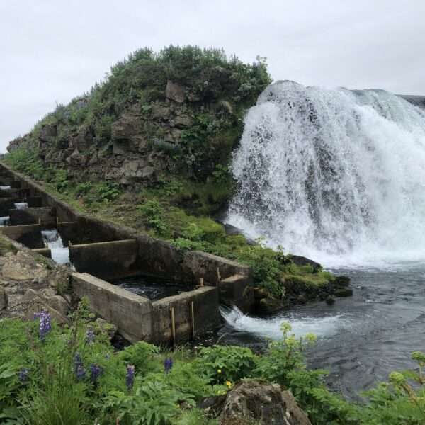 Cascade Faxi